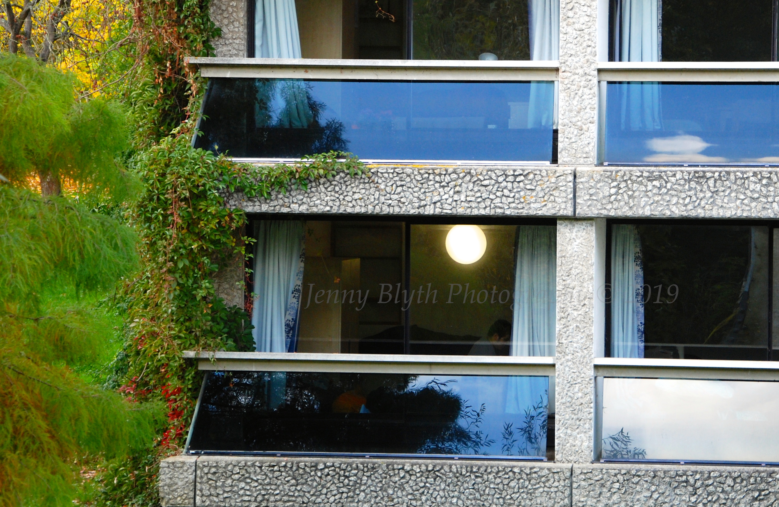 Reflections VIII, Moon in Blue 2018